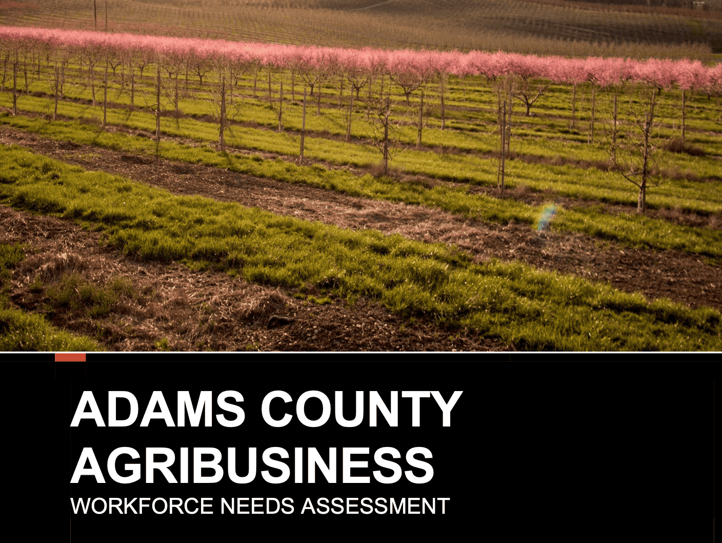Adams County Agribusiness report.